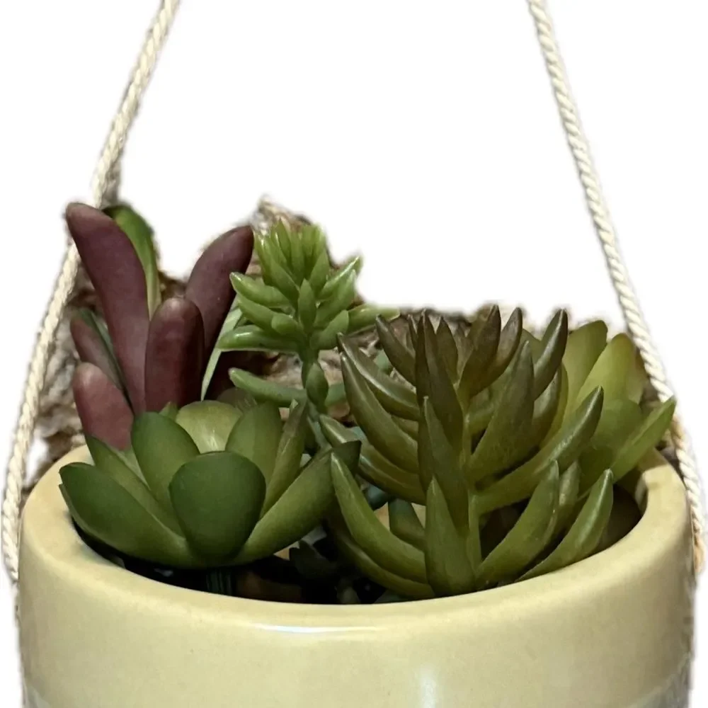 Faux Hanging Cactus Plant Wall Decor Green White Yellow